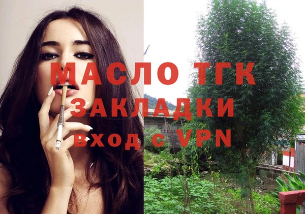 spice Михайлов