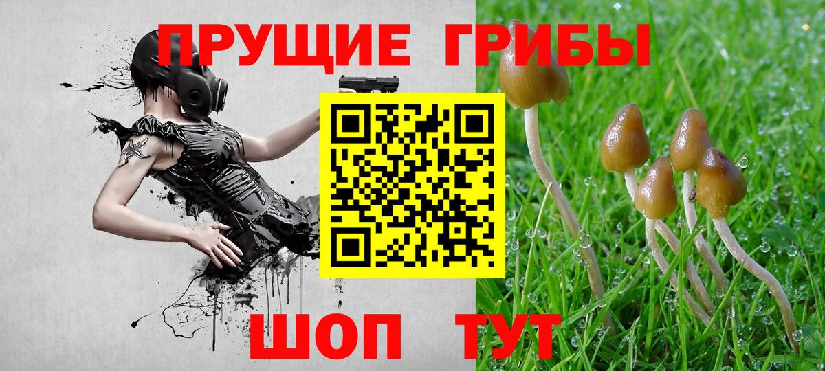 Галлюциногенные грибы Magic Shrooms  Вход с VPN  где купить наркоту  Мичуринск 