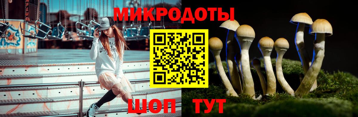 Псилоцибиновые грибы GOLDEN TEACHER Мичуринск